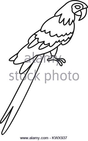 296x470 Parrot Icon, Outline Style Stock Vector Art Amp Illustration, Vector