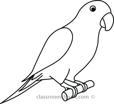 400x365 Parrot Drawing Transasia