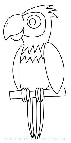 250x500 Drawing Pages Full Size Of Coloring Simple Parrot Drawing Learn