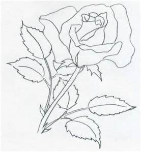 277x299 Simple Pencil Drawings Of Roses