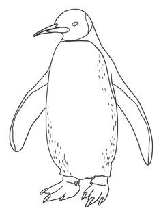 236x314 Cartoon Polar Bear Drawing Code Polar Bear Drawing