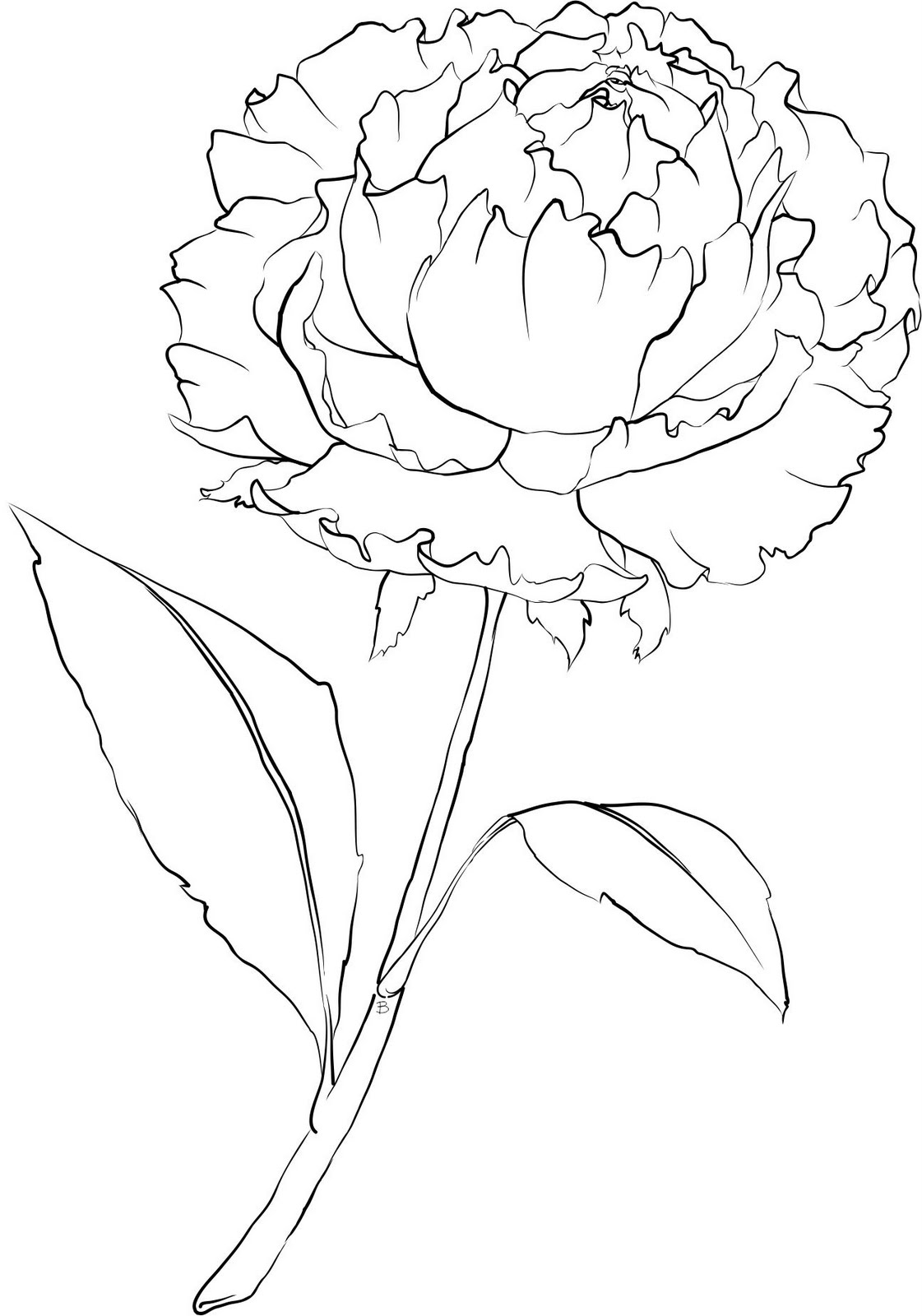 1121x1600 Beccy's Place Peony Flower Templatestencil Coloring Page. Art