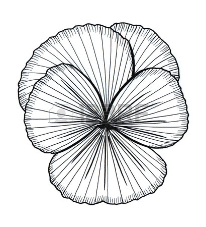 410x450 Violet Graphic Simple Black And White Drawing Sketch Stock Photo