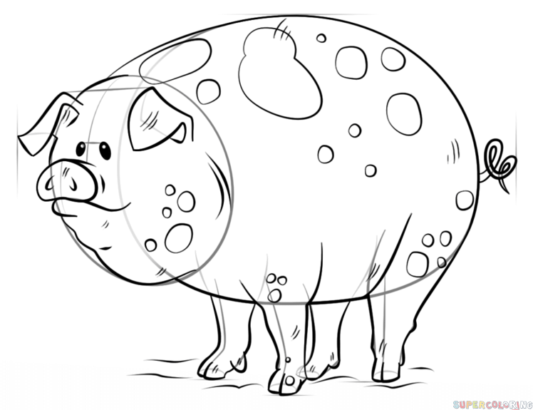 748x575 How To Draw A Cartoon Pig Step By Step Drawing Tutorials