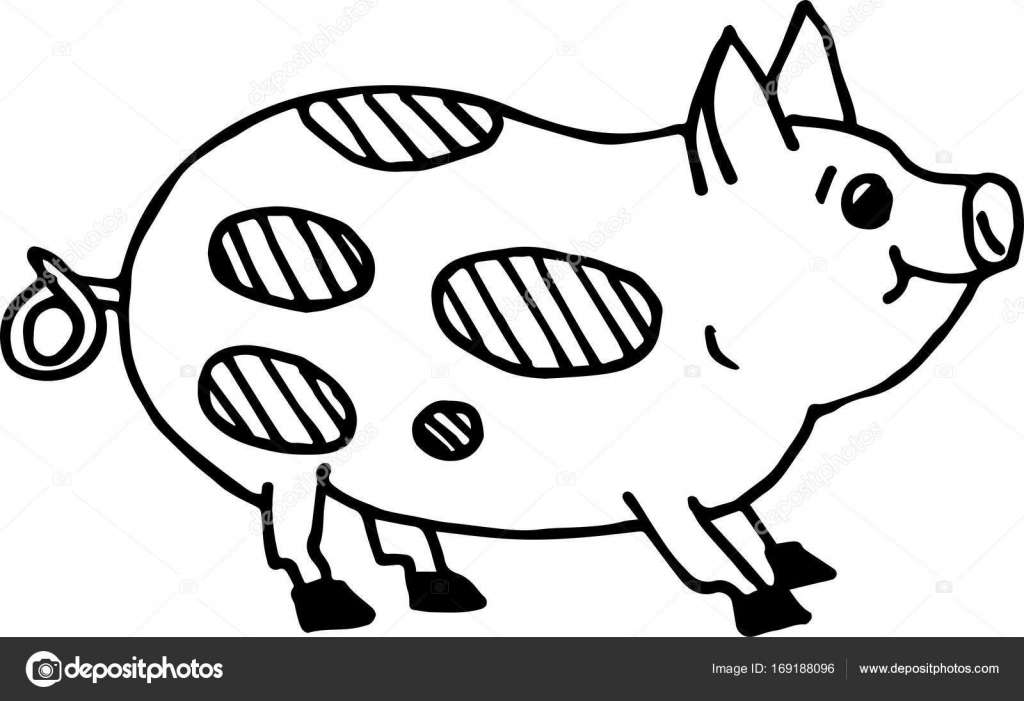 1024x701 Cute Pig. Simple Flat Style. For Painting Stock Vector