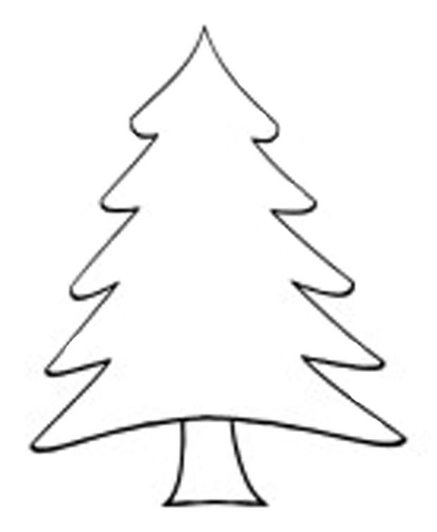 620x755 Simple Evergreen Tree Outline Free Download Clip Art