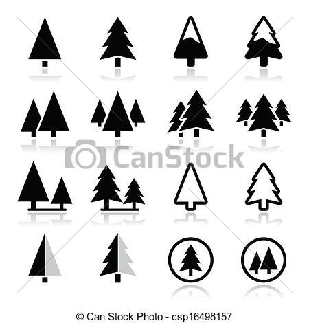 450x470 Pine Tree Images Pine Tree