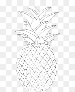 260x317 White Pineapple Png, Vectors, Psd, And Icons For Free Download