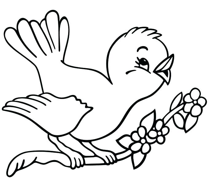687x602 Cell Coloring Pages Animal Cell Coloring Page Answers Also Plant