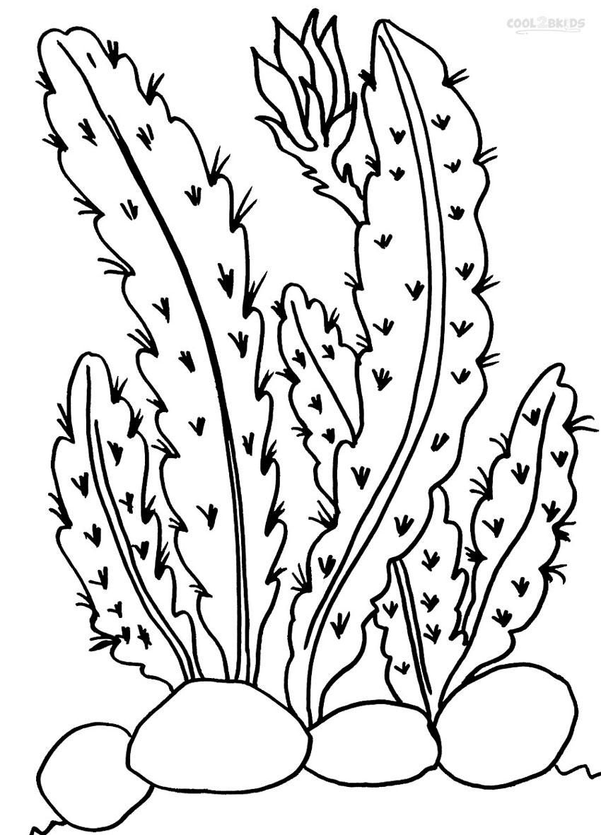 850x1181 Printable Cactus Coloring Pages For Kids Cool2bkids