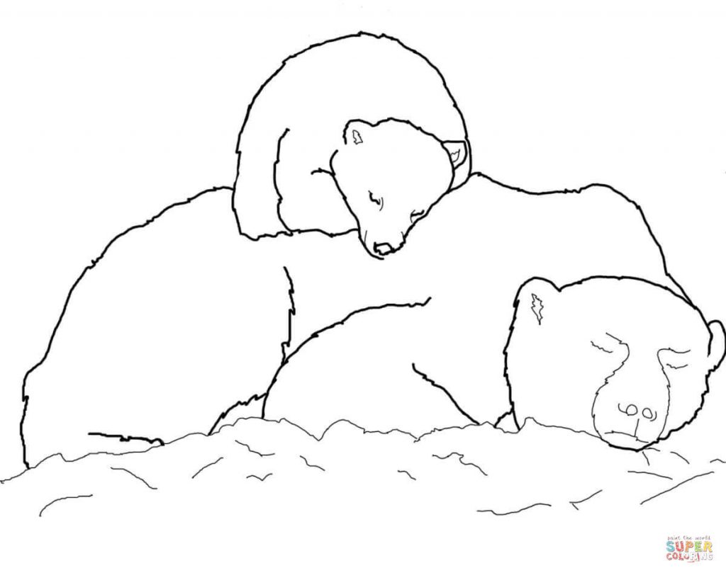 1024x812 Polar Bear Cub Sleeping On Mothers Back For Coloring Page