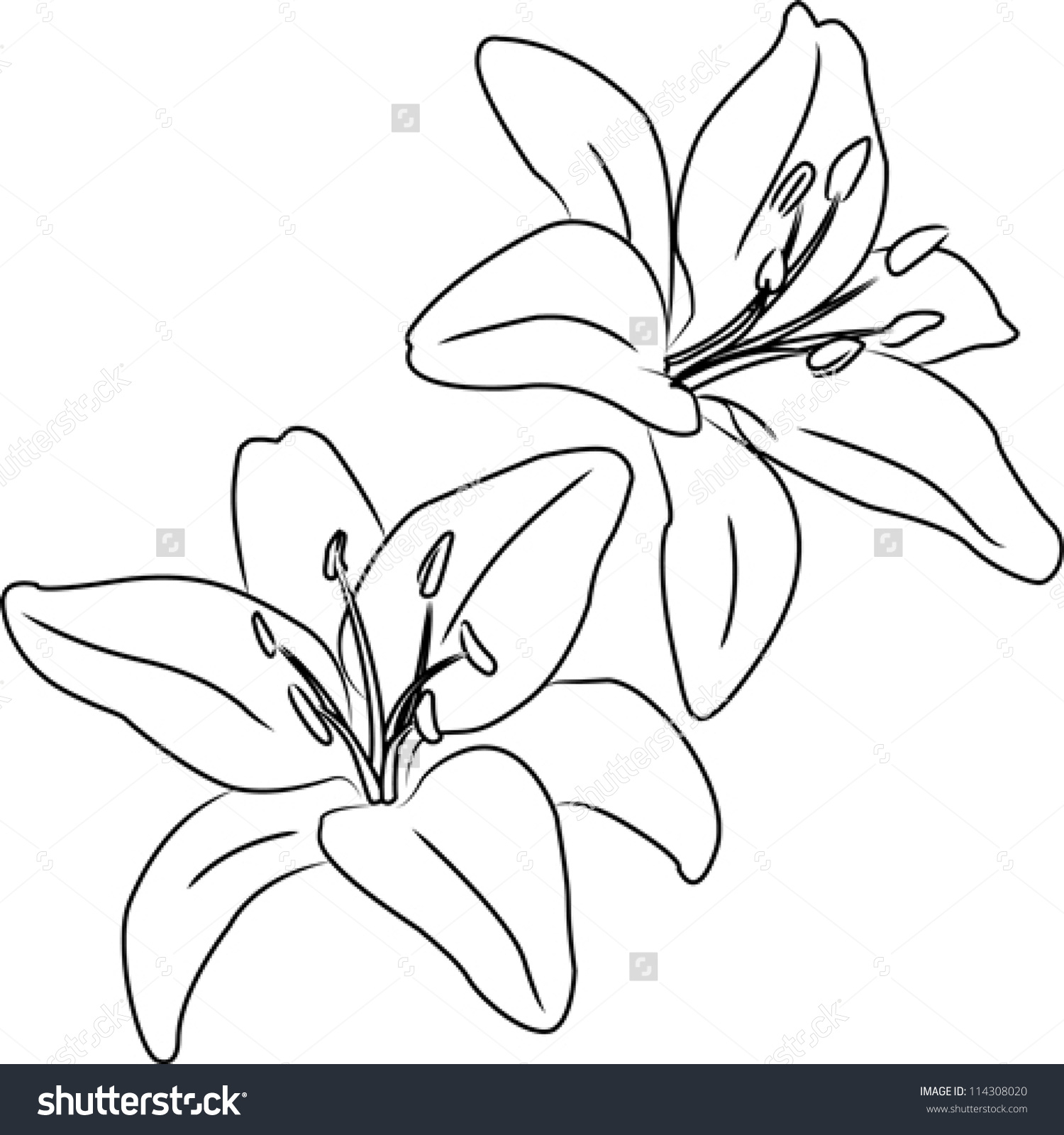 1500x1600 Flower Drawing Outline Outline Of Flowers For Drawing Eletragesi