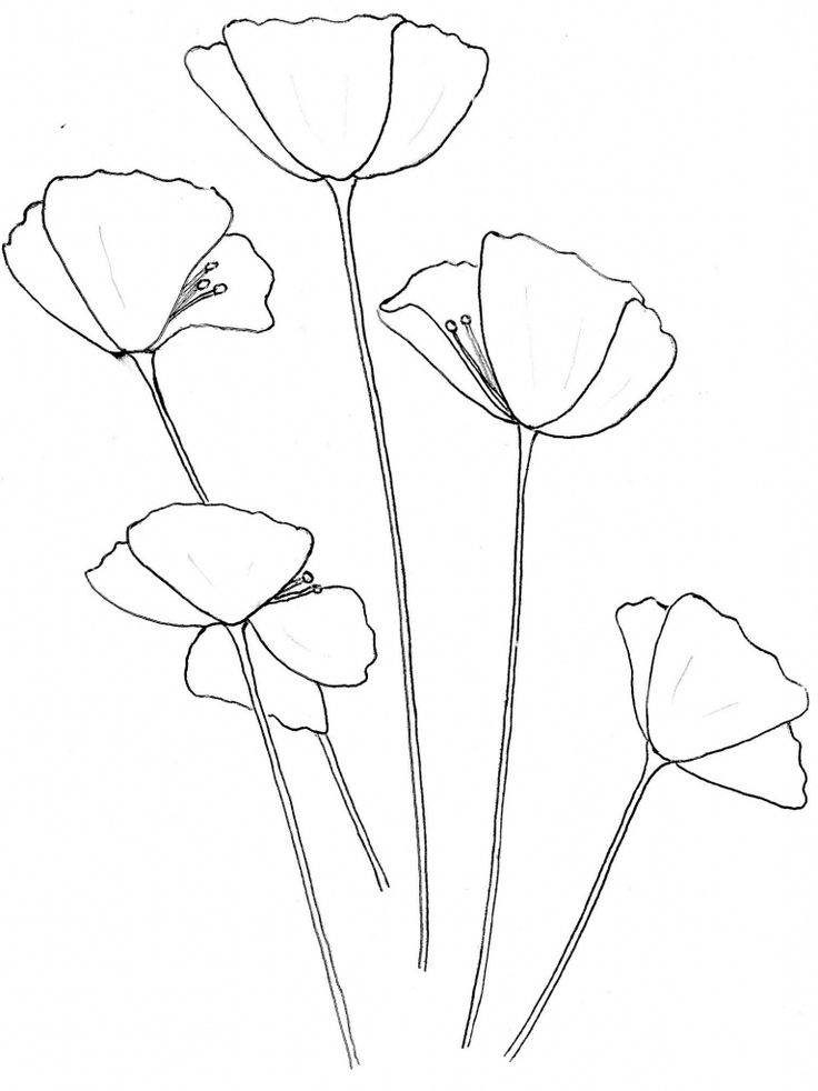 736x982 68 Best Easy Drawings Images On Embroidery Stitches