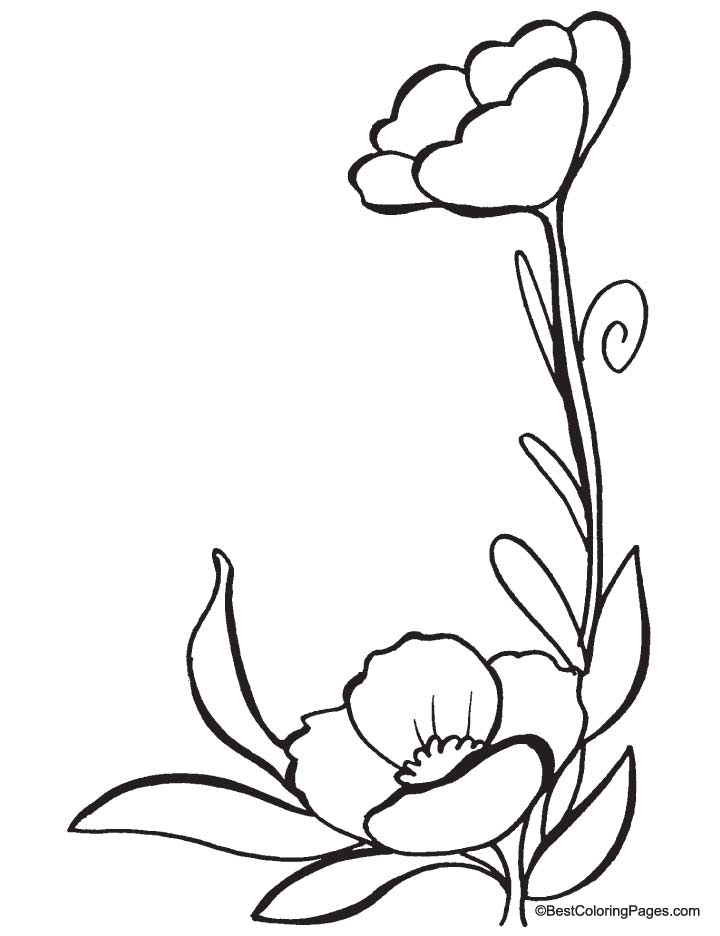 720x936 Poppy Coloring Page To Print