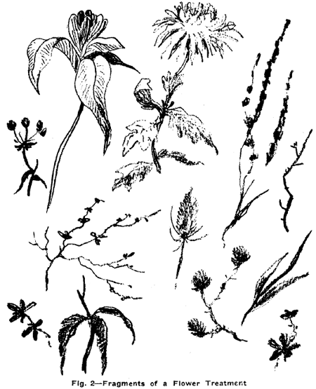 450x555 Drawing Flowers, Plants, Weeds, And Leaves With Drawing Lessons