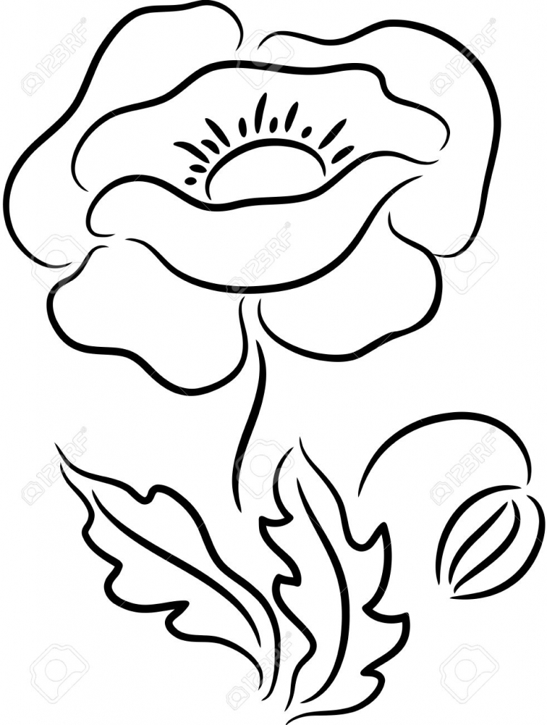 773x1024 Drawing Of Poppy Flower Drawing Of Poppy Flower