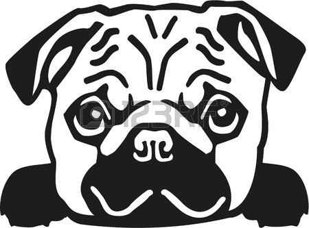 450x333 4,858 Pug Stock Vector Illustration And Royalty Free Pug Clipart