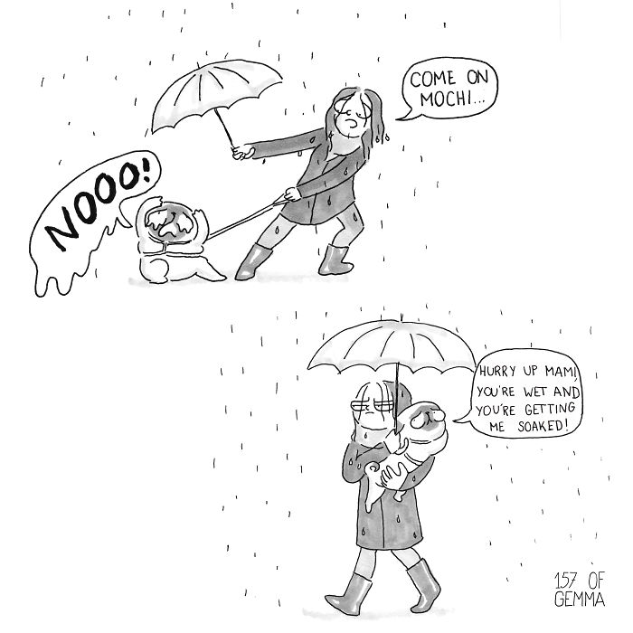 700x700 The Origin Of Pugs In One Simple Image Veriy