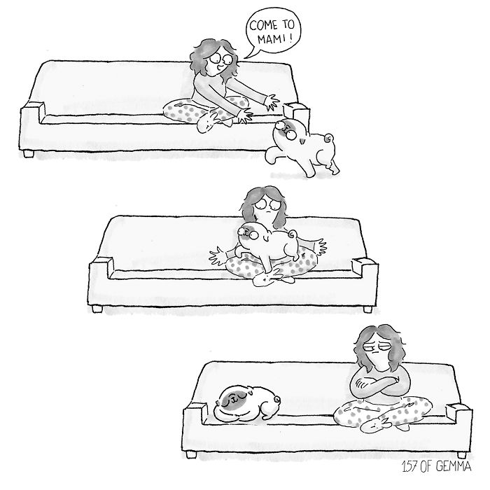 700x700 What It's Like To Live With A Pug In Pics Bored Panda