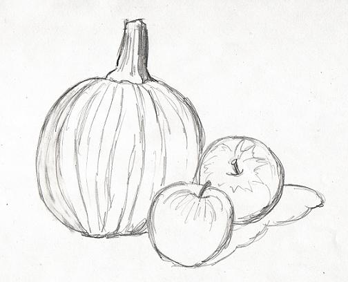 504x408 Drawn Still Life Pumpkin