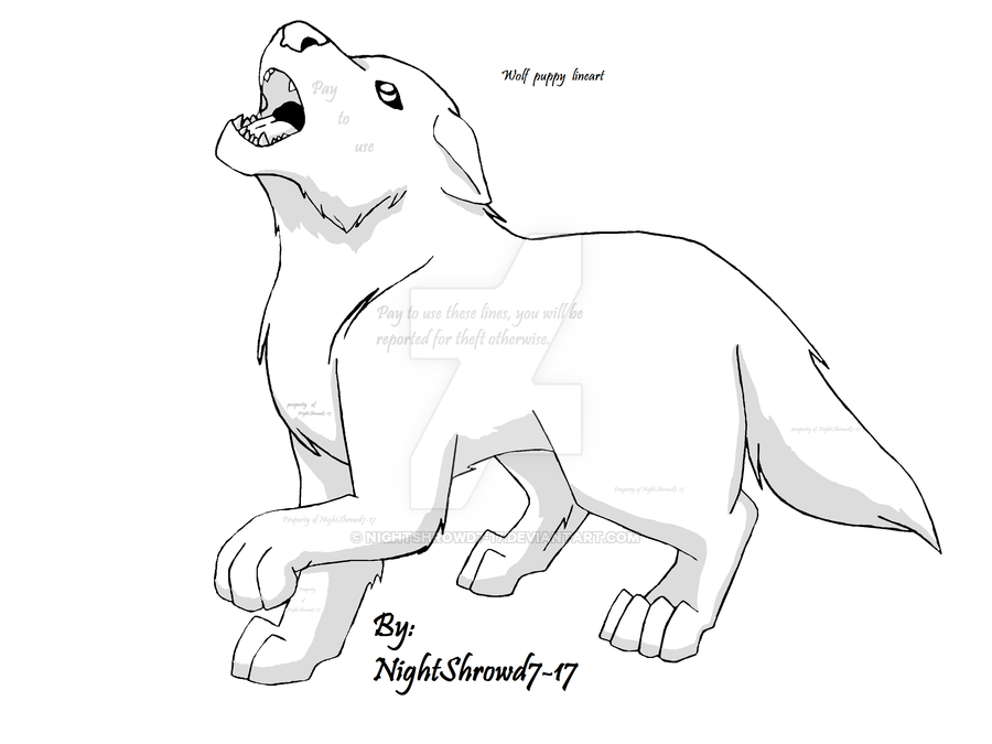 900x675 Wolf Puppy Lineart Complete (Not Free) By Nightshrowd7 17