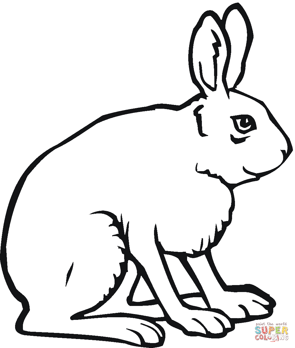 1017x1200 Jack Rabbit Coloring Page Free Printable Coloring Pages