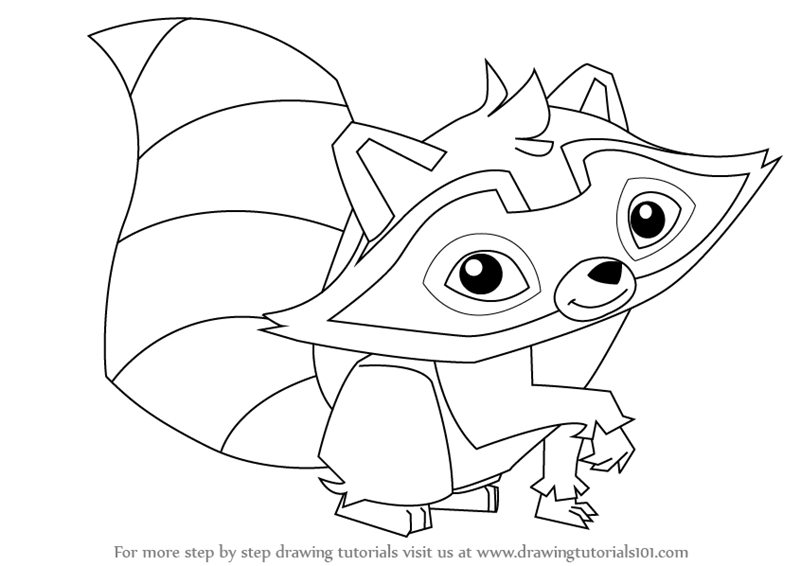800x566 Learn How To Draw Raccoon From Animal Jam (Animal Jam) Step By