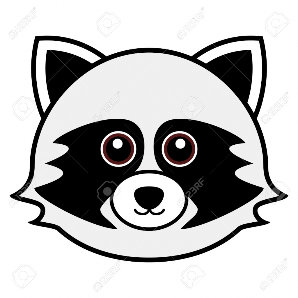 1024x1024 Raccoon Drawing
