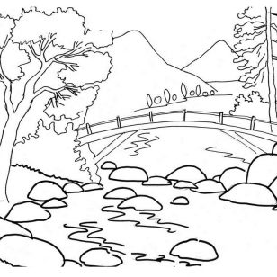 308x308 12 Best Images Of Nature Coloring Pages
