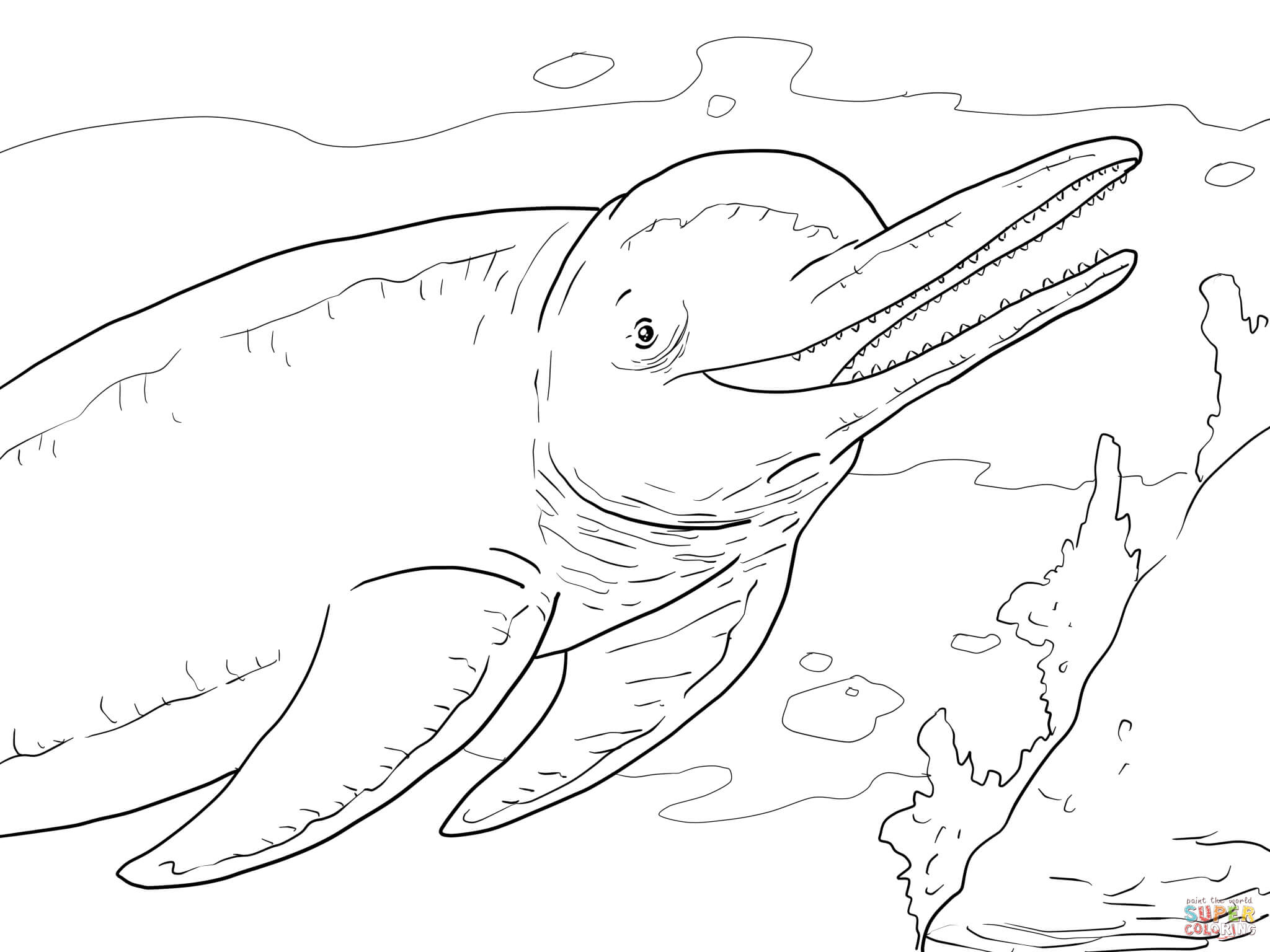 2048x1536 Amazon River Dolphin Boto Coloring Page Free Printable Coloring
