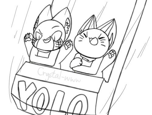 500x379 Roller Coaster Cat Tumblr