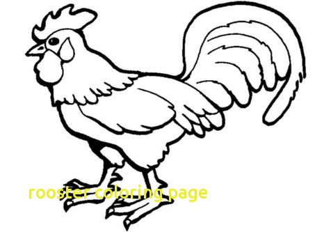 476x333 Rooster Coloring Pag Luxury Rooster Coloring Page