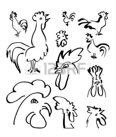 381x450 Roosters Sketched With Ink, Simple Lines And The Text 2017 Royalty