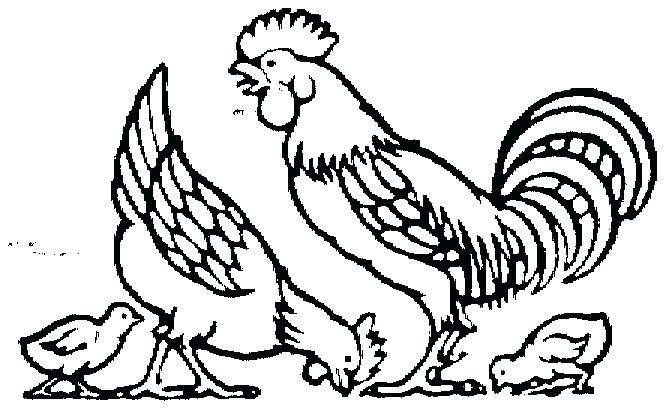 664x408 Chicken Coloring Page Genesisar.co