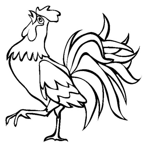 600x612 Coloring Pages. Rooster Coloring Page