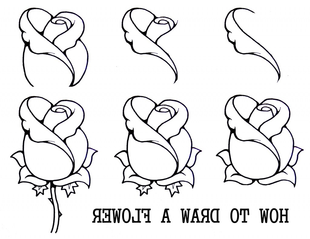1024x788 How Draw A Easy Rose Flower How