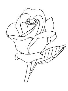 236x314 How To Draw A Rose Bud, Rose Bud, Step By Step, Flowers, Pop
