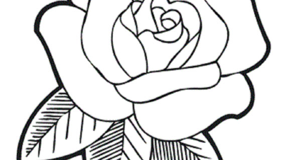 570x320 Rose Flower Drawing Pictures Surprising Coloring Pages Draw Easy