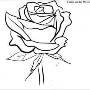 Simple Rose Bud Drawing at GetDrawings | Free download