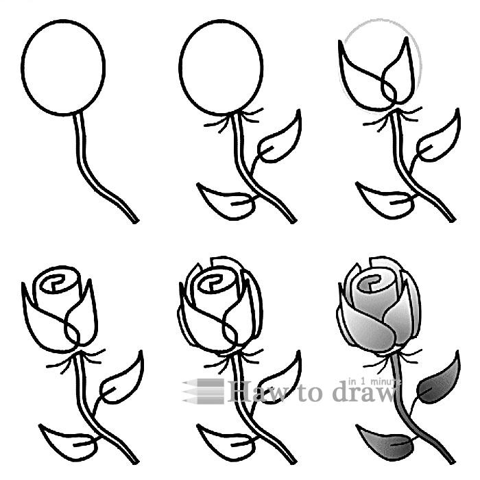 700x700 How To Draw A Rose With Pencil