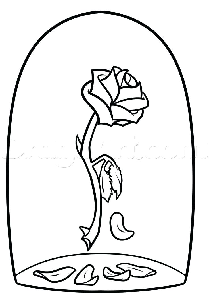 736x1055 Rose Coloring P On Princess For Kids Printable Free New Beauty
