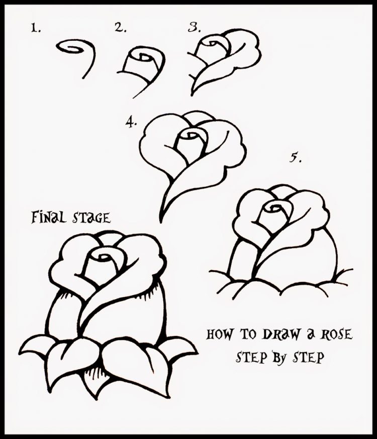 750x873 Drawing How To Draw A Rose Step By Step For Beginners Easy As