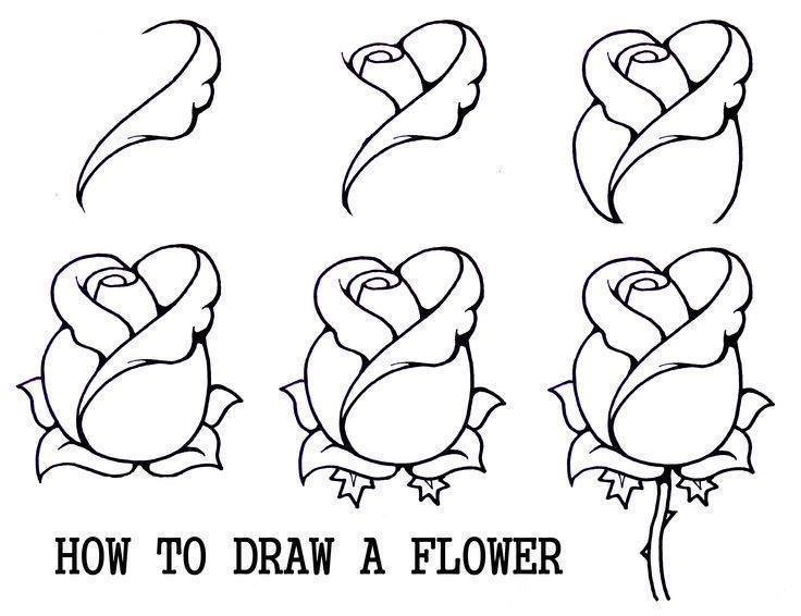 736x566 Pin By Asha Latha On Draw N Paint