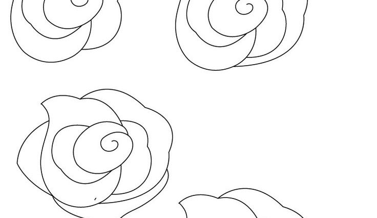 736x425 How To Draw A Simple Rose Drawn Rose Step Step Pencil And In Color