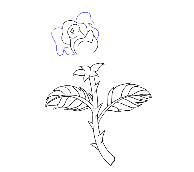 678x600 How To Draw A Rose In A Few Easy Steps Easy Drawing Guides