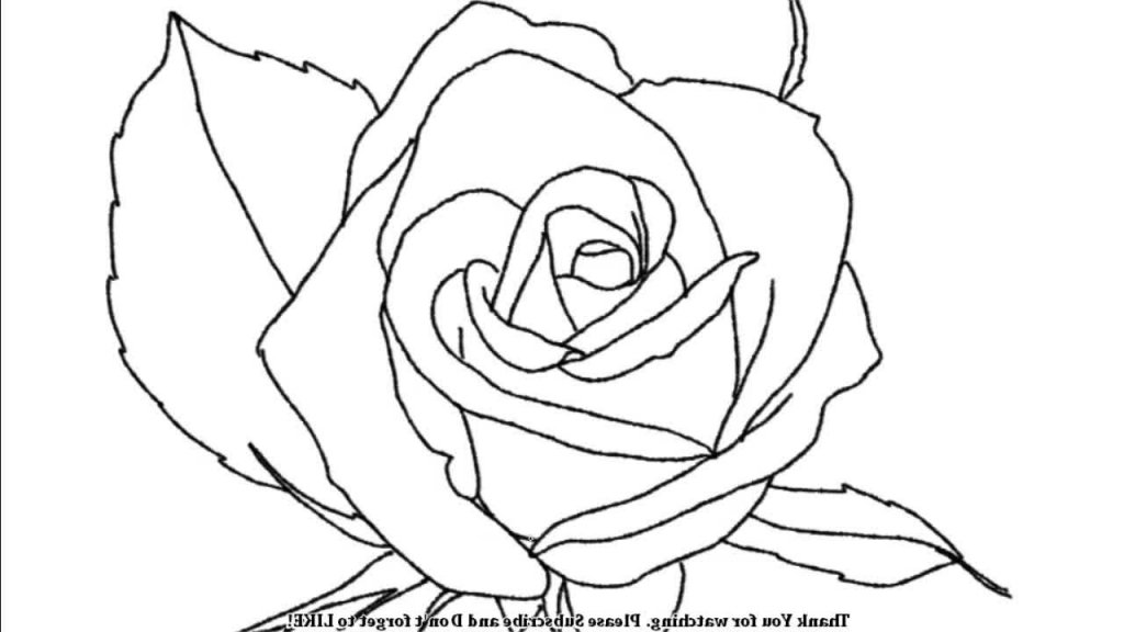 1024x576 Simple Rose Drawings
