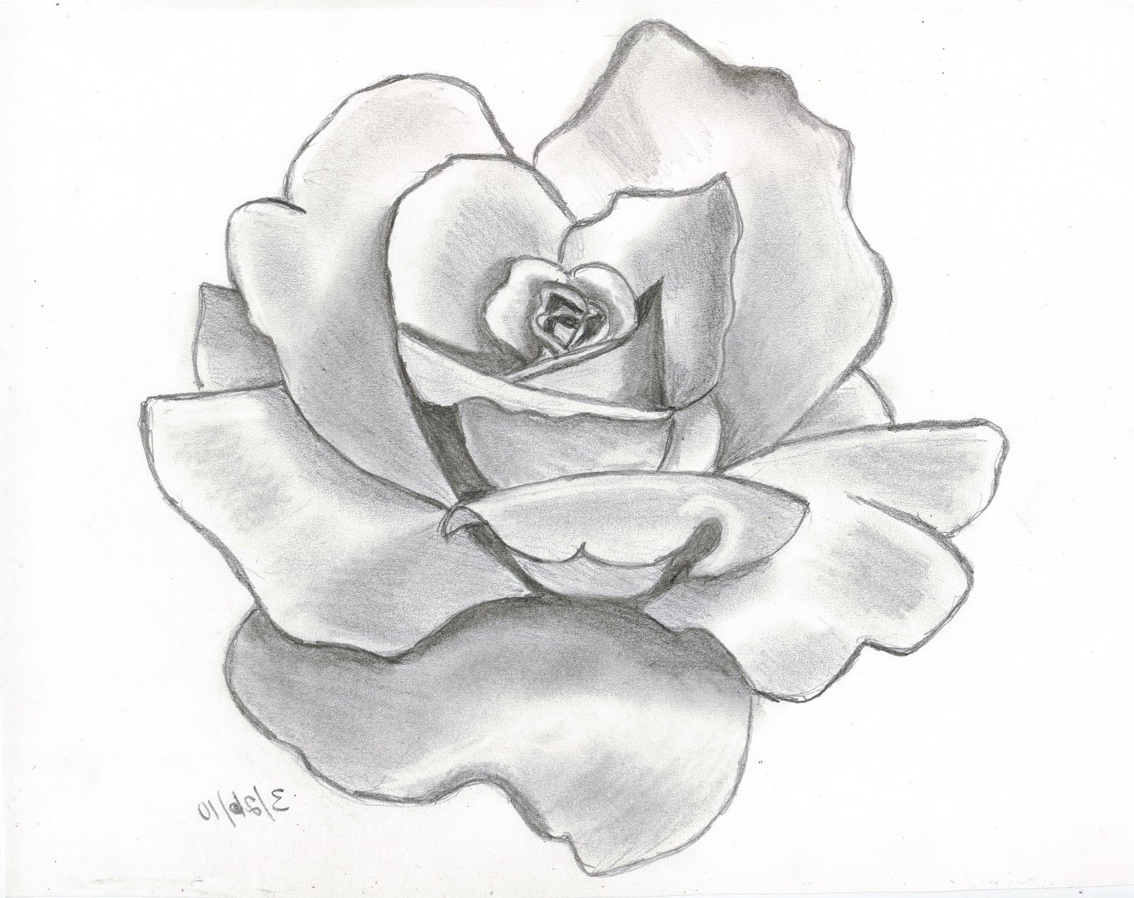Simple Rose Flower Drawing at GetDrawings Free download