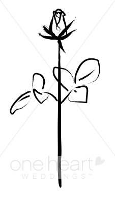 226x388 Rose Sketch Clipart Rose Clipart