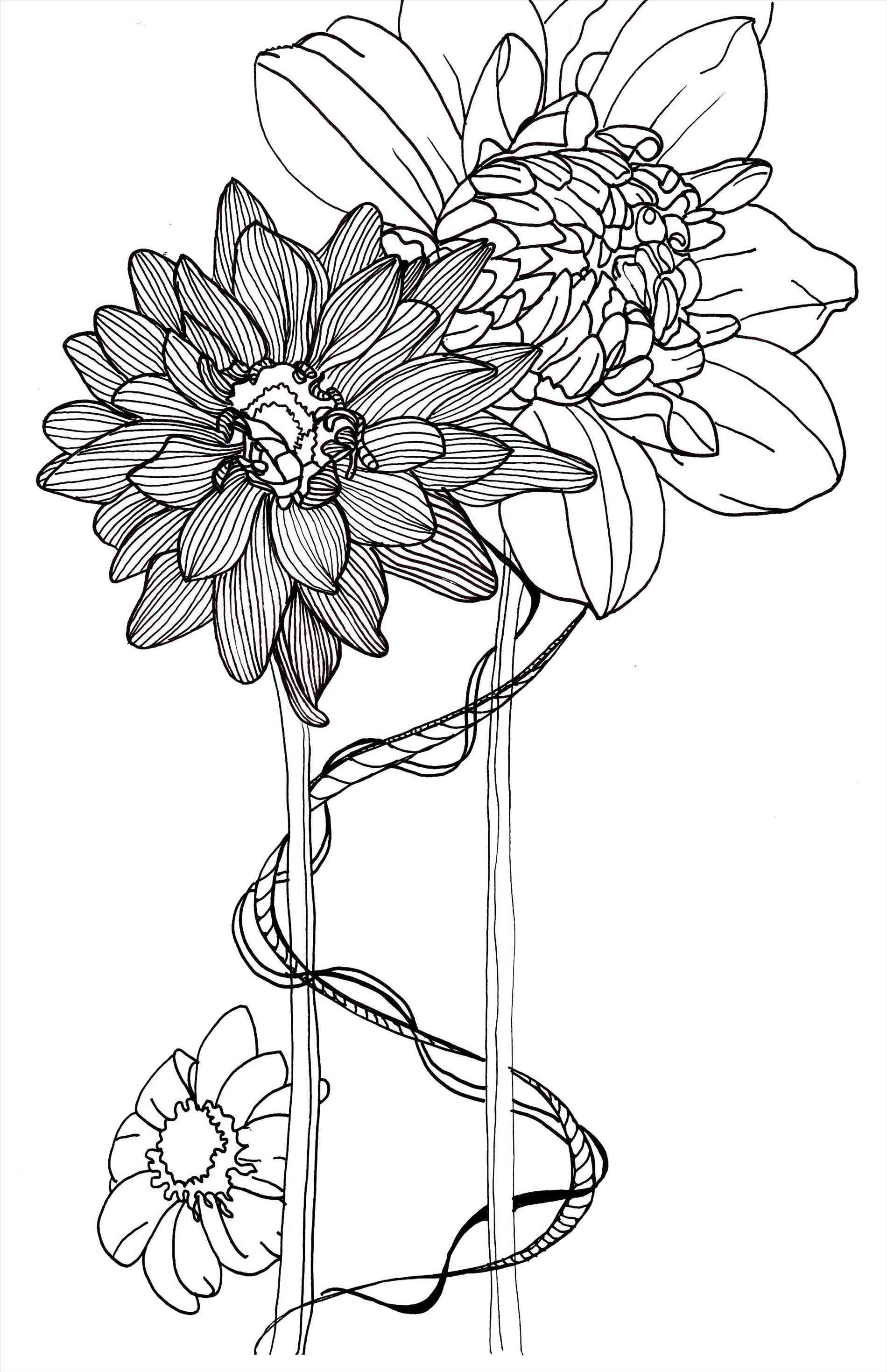 1900x2938 Search Tattoos Simple Realistic Rose Line Drawing Rose