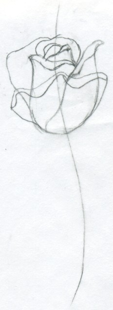 232x637 Draw A Rose Quickly, Simply And Easily